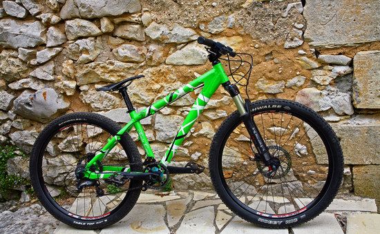 Santa Cruz Chameleon by nuts