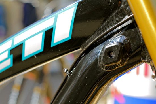 yeti123