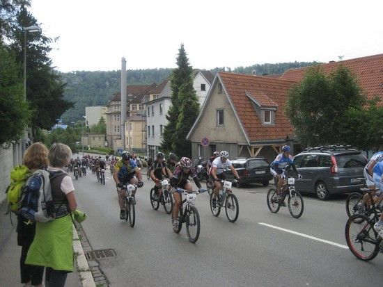 IMG 7468