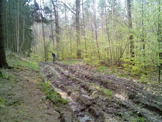 Bild018