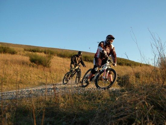 Halden-Trails-bei-Sonne