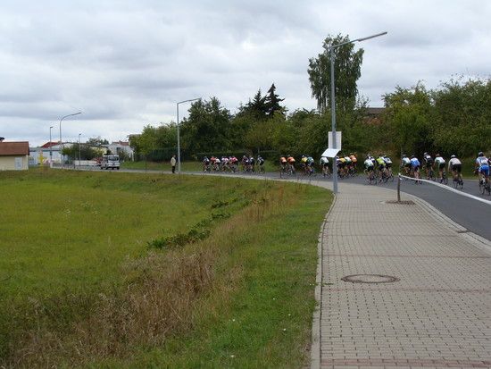 DSC00917