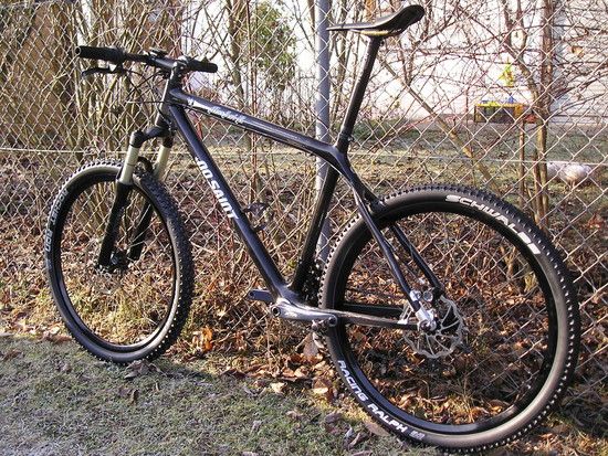 MaxAri-8442-31.12.082