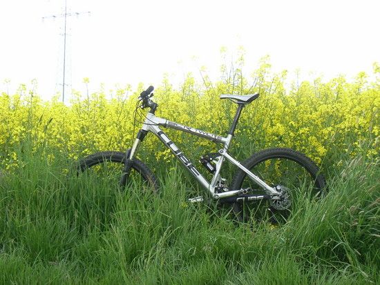 RIMG0092