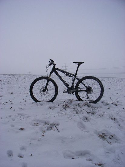 RIMG0194