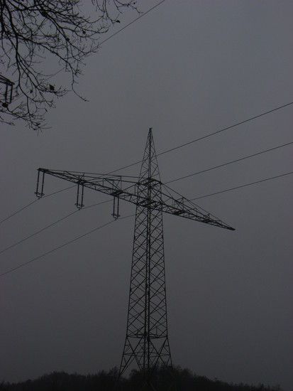 RIMG0239