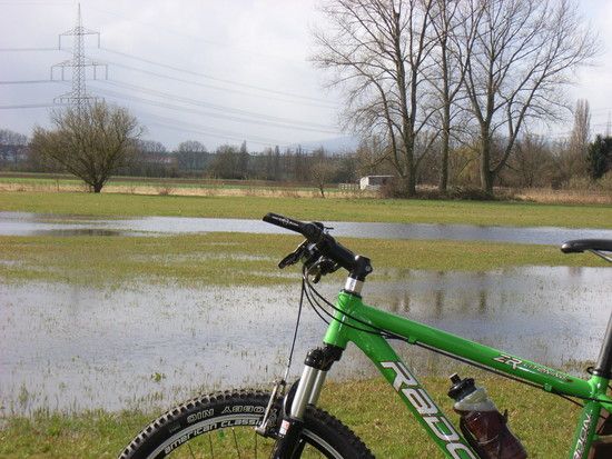 RIMG0509
