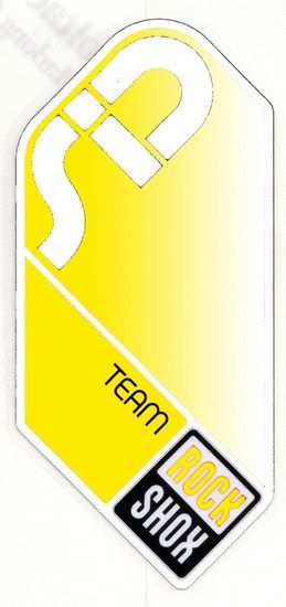 RS 8