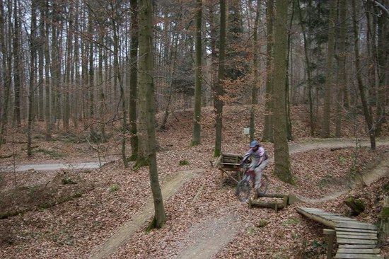 Eppingen Freeride 6