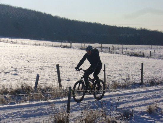 Eifel-Litti im Schnee
