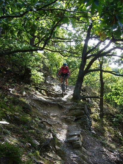 Steiner Berg