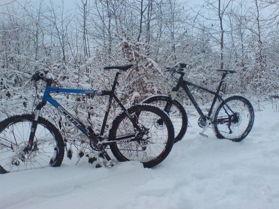 20100130DSC00035