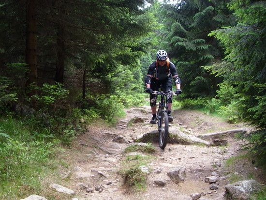 Harz2010DSCI066811