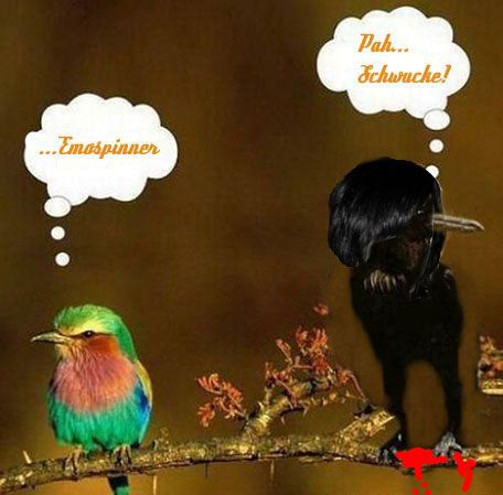 EMO Bird