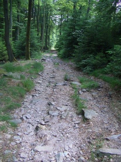 Taunus