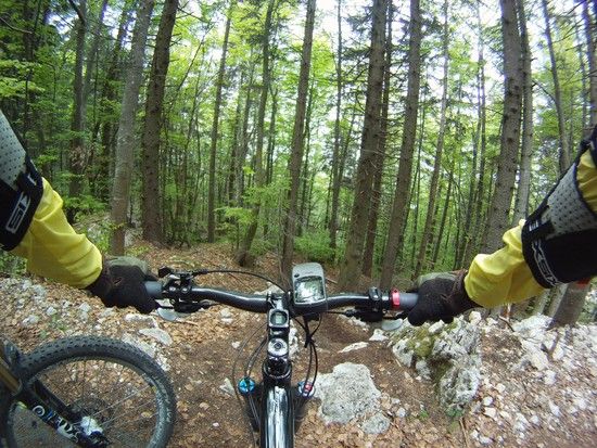GOPROArme