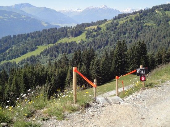 RuncaIBC08