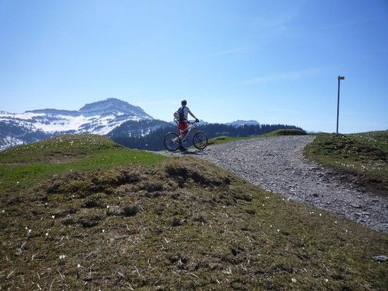 Tanzboden20110409 5 k1