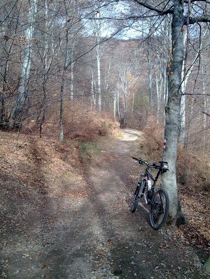 monteboglia20091124016