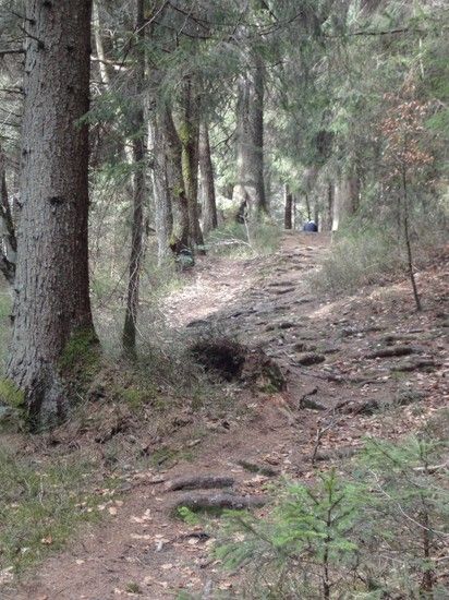 trailhinterbiberbruggSihltour k1