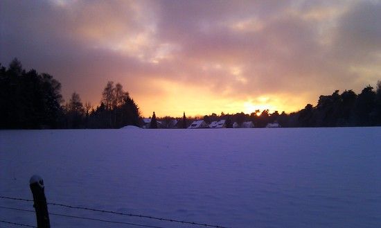 IMAG0059