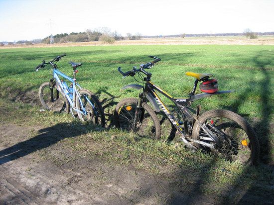 IMG 2276 bearbeitet-1