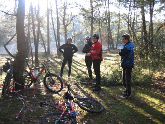 IMG 3152 bearbeitet-1