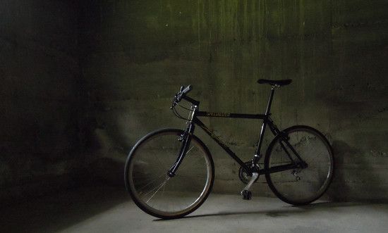 Stumpjumper-1