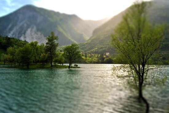 DSC 0122-tiltshift
