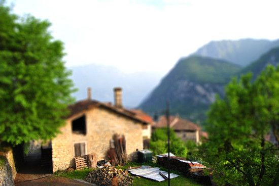 DSC 0165-tiltshift