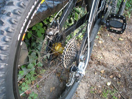 freerider proceed5
