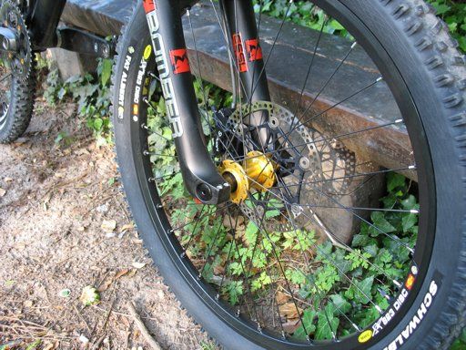 freerider proceed6