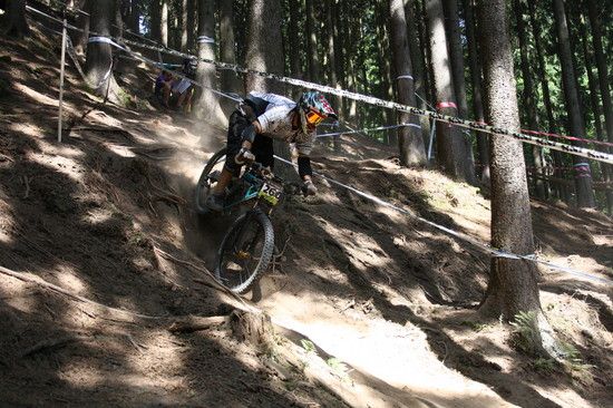 Seeding Rittershausen