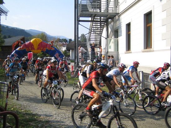 DomCAI2011