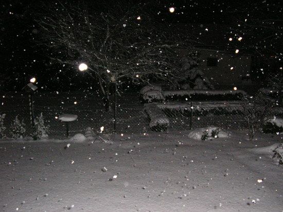 Winter in Springe am 04.01.2009