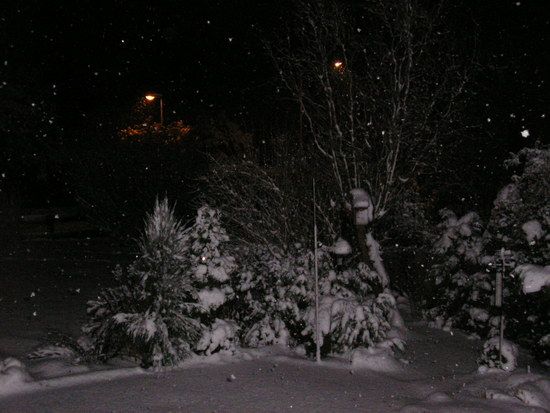 Winter in Springe am 04.01.2009