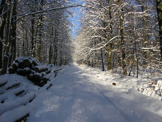 Winter06/01/09
