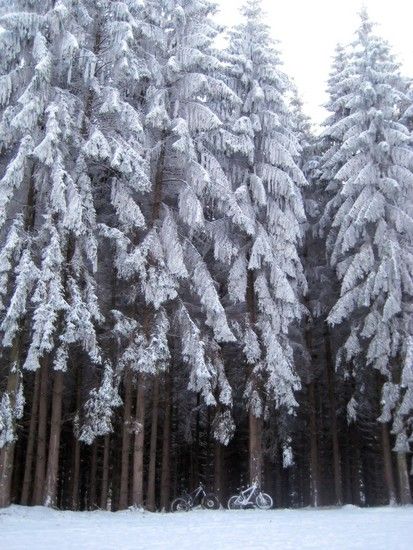 Winterimpressionen 01/10