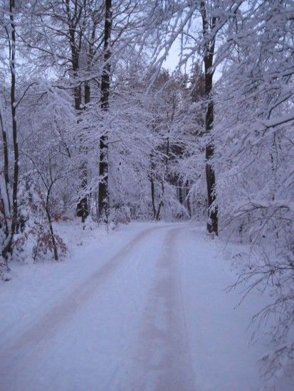 Winterimpressionen 01/10