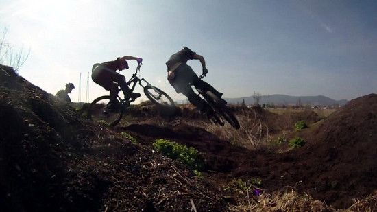 fakewhip