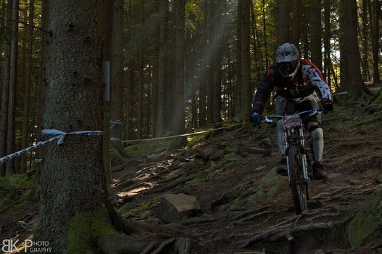 wilberd 3
