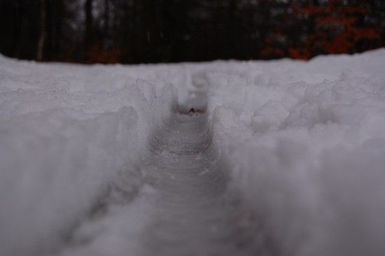 Spuren im Schnee