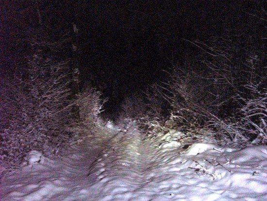 nightride2