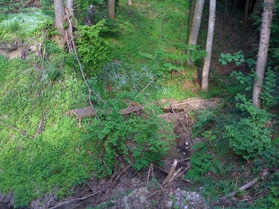 Gehrenberg Trail 04