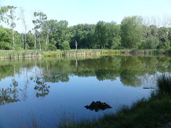 sonntag5.07.09