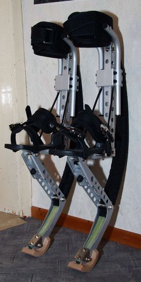 Powerieser