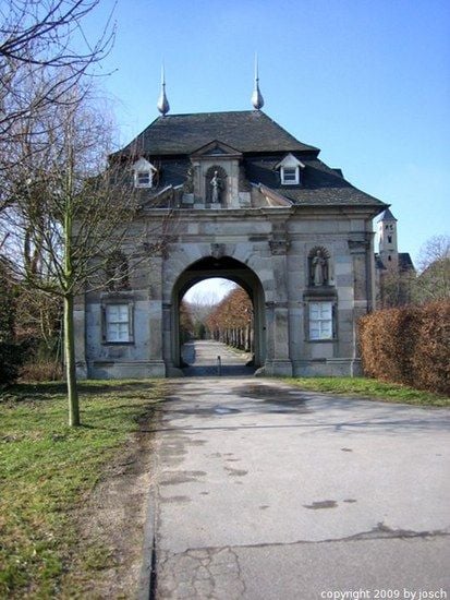 IMG 3451