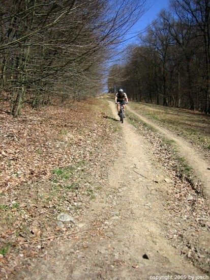 IMG 3638