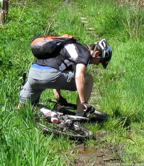 IMG 3766-Ausschnitt