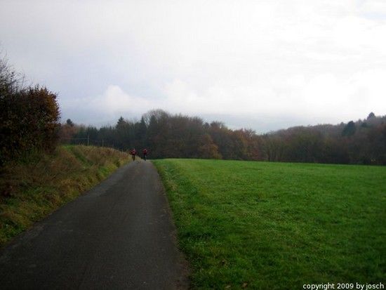 IMG 4573